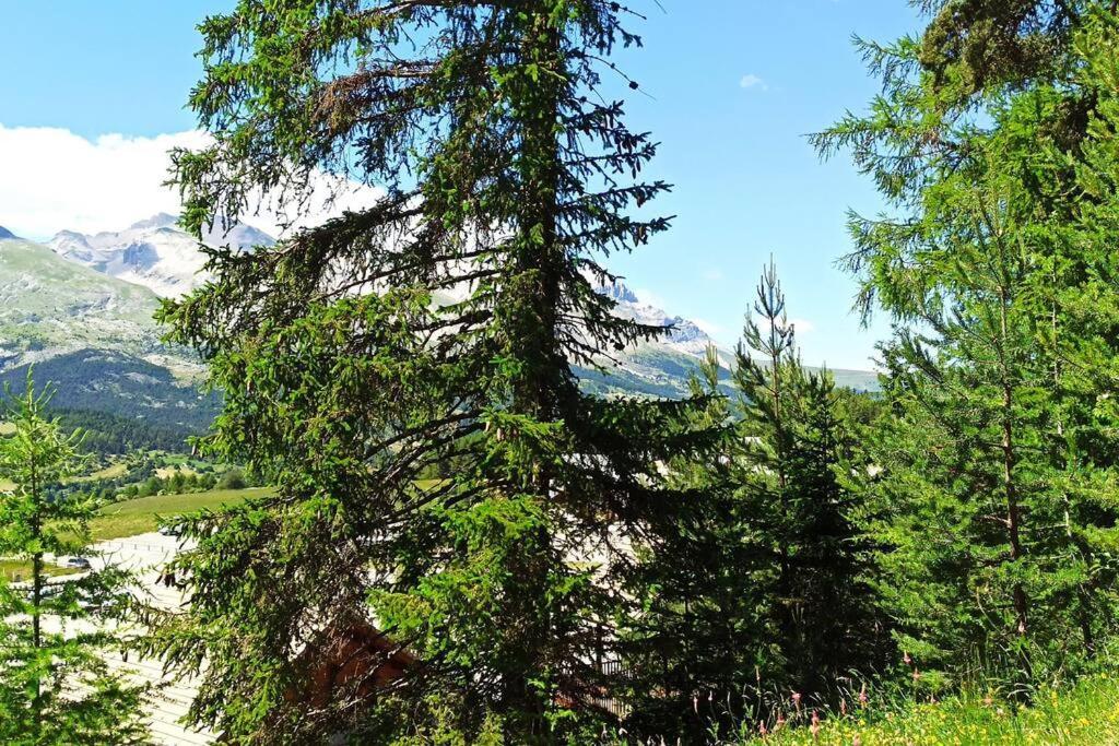 Appartement Duplex Au Pied Des Pistes Saint-Étienne-en-Dévoluy Zewnętrze zdjęcie